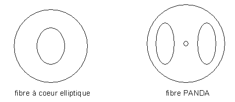 maintien de polarité